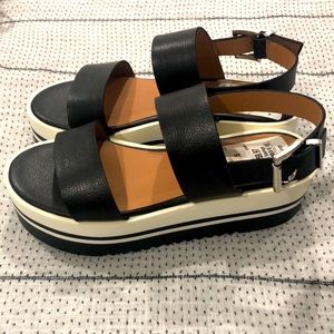NWT! Steve Madden platform sandals!